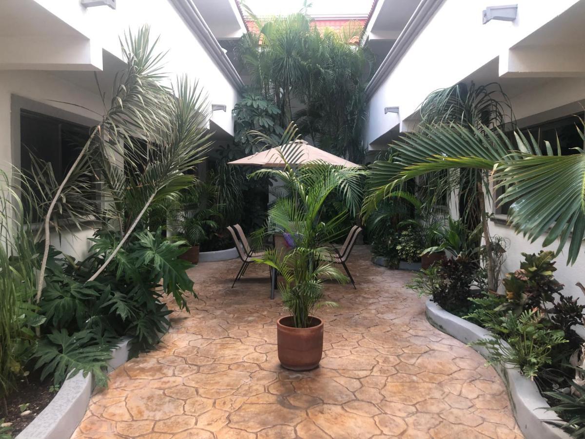 Mayan Caribe Apart-Hotel プレヤデルカーメン エクステリア 写真