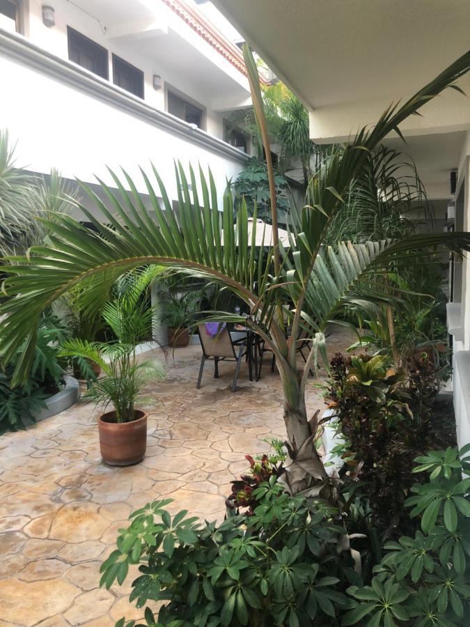 Mayan Caribe Apart-Hotel プレヤデルカーメン エクステリア 写真