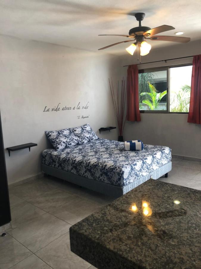Mayan Caribe Apart-Hotel プレヤデルカーメン エクステリア 写真